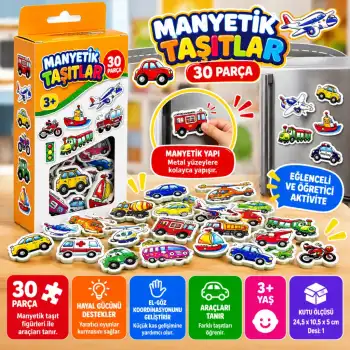1291 MANYETİK TAŞITLAR