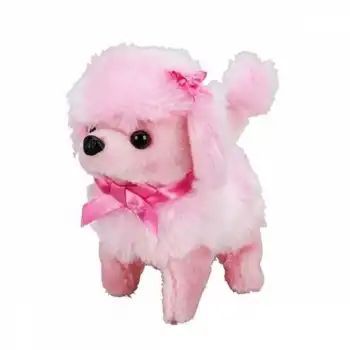 NessiWorldman Sevimli Köpek Poodle