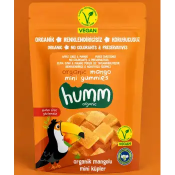 Organik Glutensiz Vegan Mangolu Mini Küpler 30 Gr