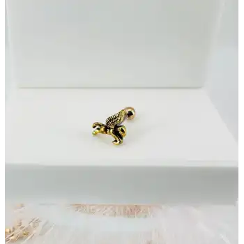 Tragus Kıkırdak Küpesi
