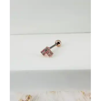 Tragus Kıkırdak Küpesi