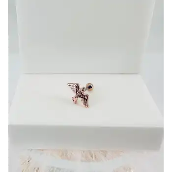 Tragus Kıkırdak Küpesi