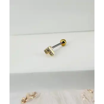 Tragus Kıkırdak Küpesi