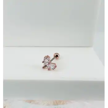 Tragus Kıkırdak Küpesi