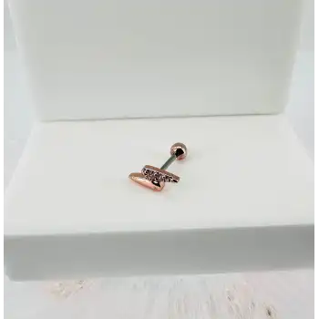 Tragus Kıkırdak Küpesi