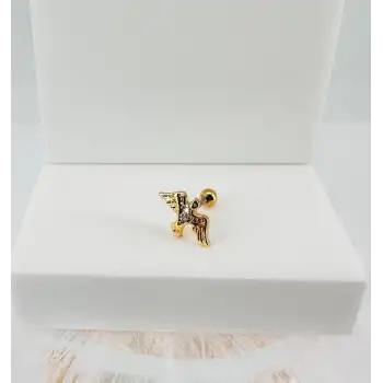 Tragus Kıkırdak Küpesi