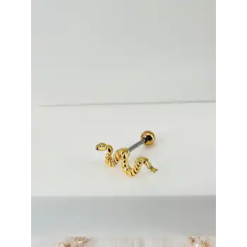 Tragus Kıkırdak Küpesi