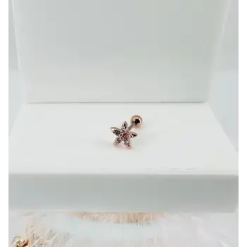 Tragus Kıkırdak Küpesi