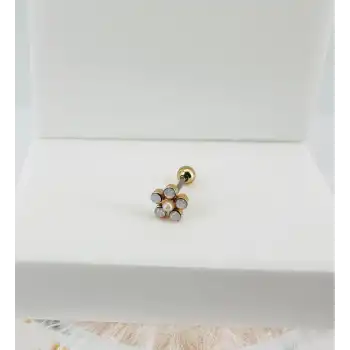 Tragus Kıkırdak Küpesi