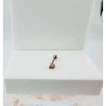 Tragus Kıkırdak Küpesi