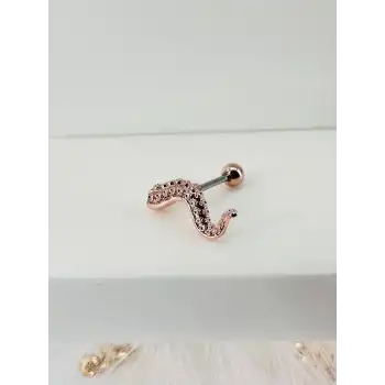 Tragus Kıkırdak Küpesi