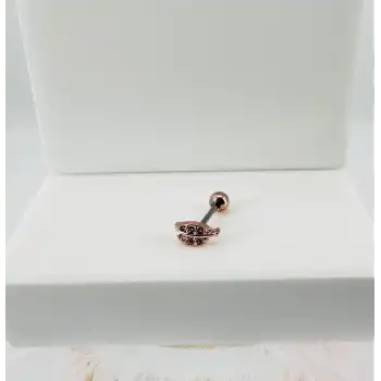 Tragus Kıkırdak Küpesi