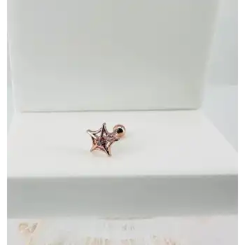 Tragus Kıkırdak Küpesi