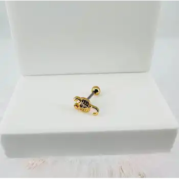 Tragus Kıkırdak Küpesi