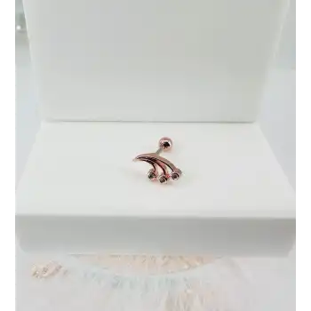 Tragus Kıkırdak Küpesi