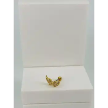 Tragus Kıkırdak Küpesi