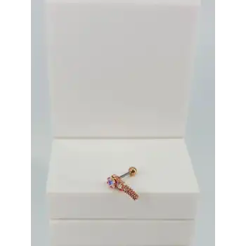 Tragus Kıkırdak Küpesi
