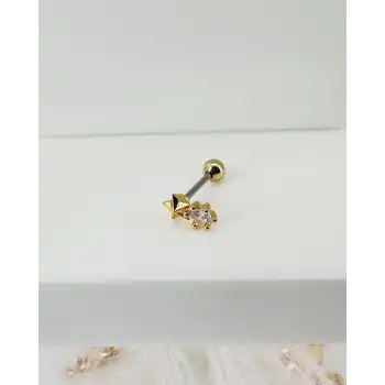 Tragus Kıkırdak Küpesi