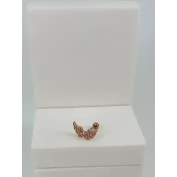 Tragus Kıkırdak Küpesi