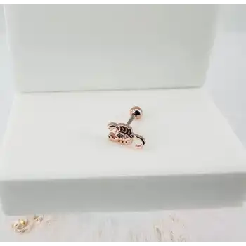 Tragus Kıkırdak Küpesi
