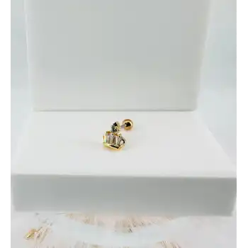 Tragus Kıkırdak Küpesi