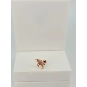 Tragus Kıkırdak Küpesi