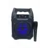 10W Güçlü Ses Performanslı Bluetooth Karaoke Hoparlörü