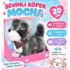 2859  Sevimli Köpek Mocha