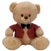 4810 PELUŞ AYI ELBİSELİ 32CM 2A