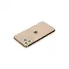 Apple İphone 11 Pro Max Renkli Kamera Lens Koruma Cam - Yeşil-sarı