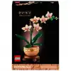Botanicals Mini Orkide 10343