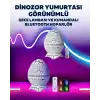 Ayarlanabilir Parlaklık ve Sis Efektli Atmosfer Lambası