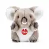Fluffy Koala