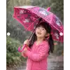 Lisanslı Şemsiye