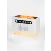 PDPG FS 301  NEMLENDİRİCİ VE SPEAKER