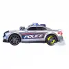 Polis Aracı