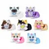 Rainbocorn Kittycorn Sürpriz S3