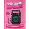 Taşınabilir 6.5” Bluetooth Hoparlör USB TF Kart Mikrofonlu Şarjlı Sistem