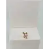 Tragus Kıkırdak Küpesi