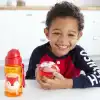 Zoo Çerez Kabı Tilki