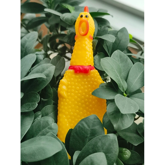 Büyük Pet Park Köpek Tuvalet Eğitim Seti – Evcil Dostunuz İçin Hijyenik Çözüm 1 Adet Çığlık Atan Ördek 1 Adet Yıkanabilir Rulo Hediye