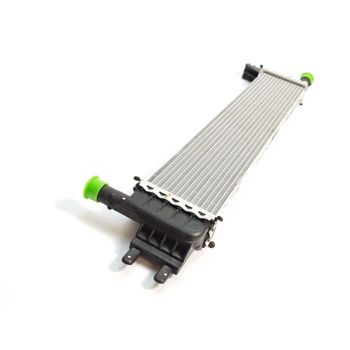 Yardımcı Su Radyatörü Renault Express Dacia Duster XJD 1.5 Dci K9K AdBlue 214108831R ORJİNAL