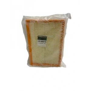 Hava Filtresi Renault Master 3 2.3 Dci 165465171R MAİS