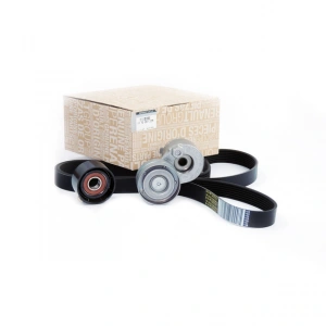 Alternatör V Kayış Gergi Rulman Kiti Renault Laguna 2.0 16V F4R 117209732R MAİS