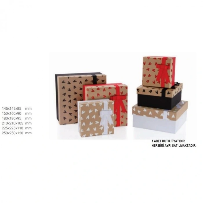 GIPTA SANSA KARE HEDİYE KUTUSU BX0849 E 225x225x110mm