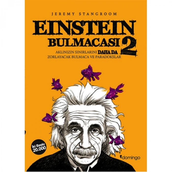 EİNSTEİN BULMACASI 2
