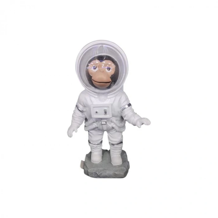 CEREN LLM-HDY0351 ASTRONOT MAYMUN BİBLO