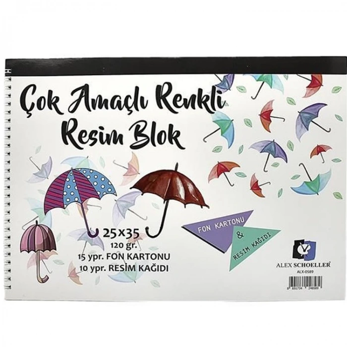 ALEX SCHOELLER ÇOK AMAÇLI BLOK RESİM DEFTERİ 25x35 120gr. ALX-0589