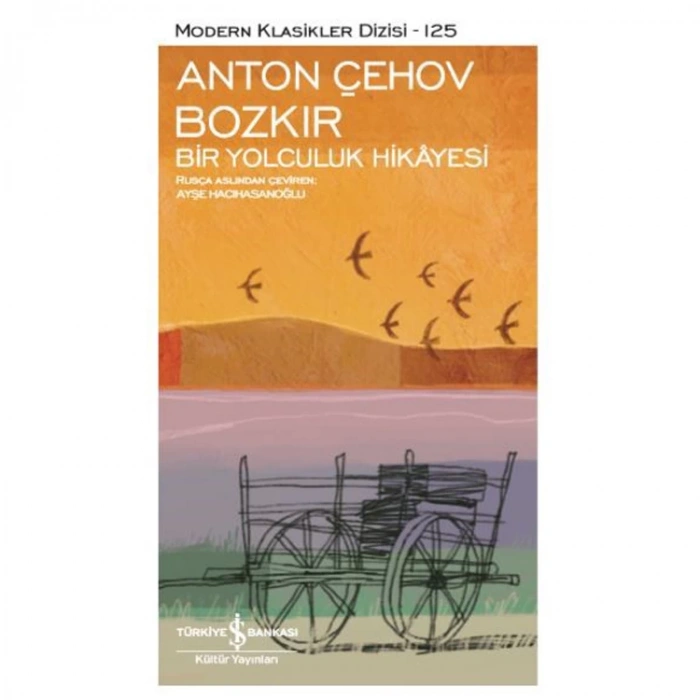 BOZKIR BİR YOLCULUK HİKAYESİ