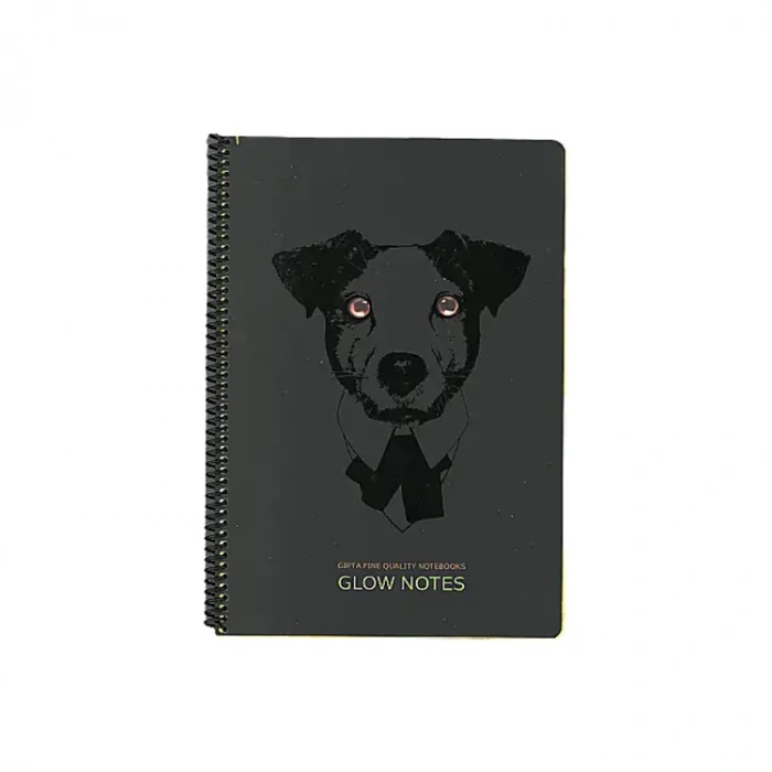 GIPTA GLOW NOTES SPR. KARTON KPK.A4 80YP.ÇİZGİLİ